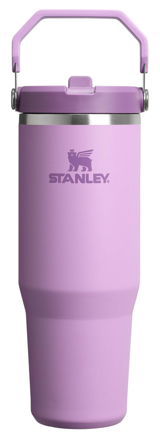 STANLEY IceFlow 2.0 Flip Straw Tumbler, 30 oz, Lilac